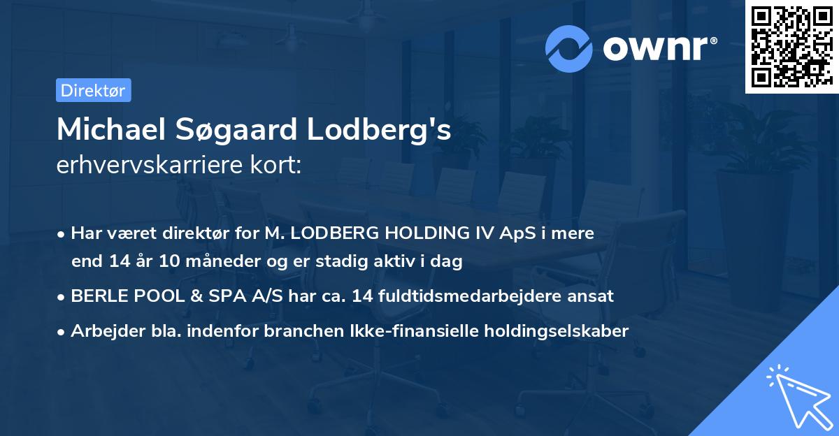 Michael Søgaard Lodberg's erhvervskarriere kort