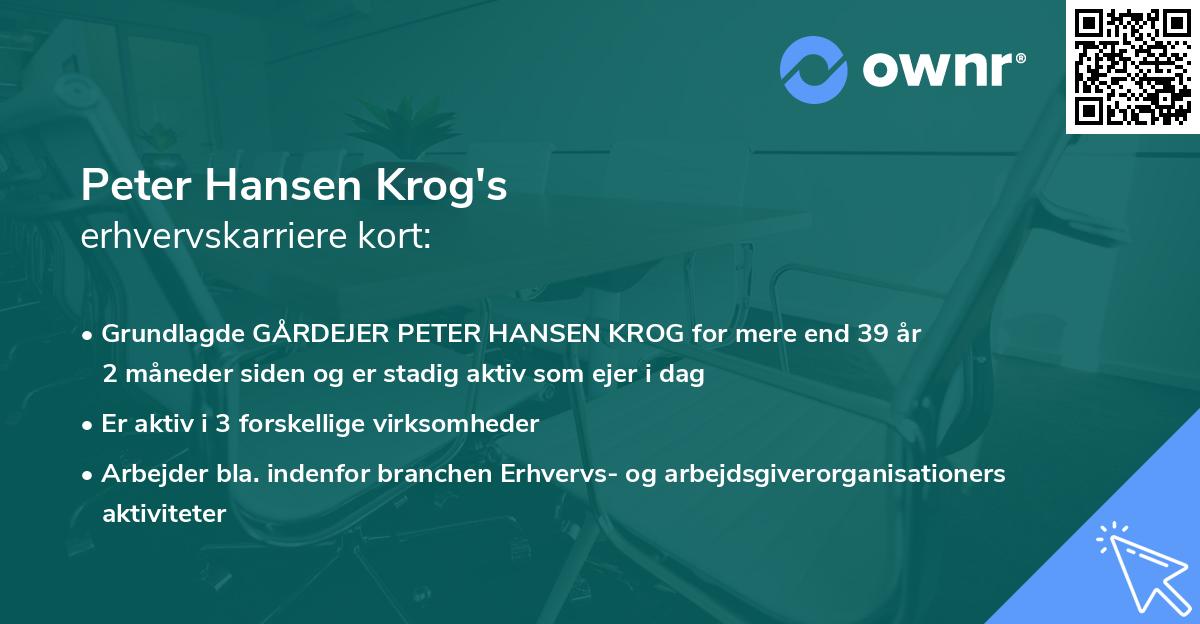 Peter Hansen Krog's erhvervskarriere kort