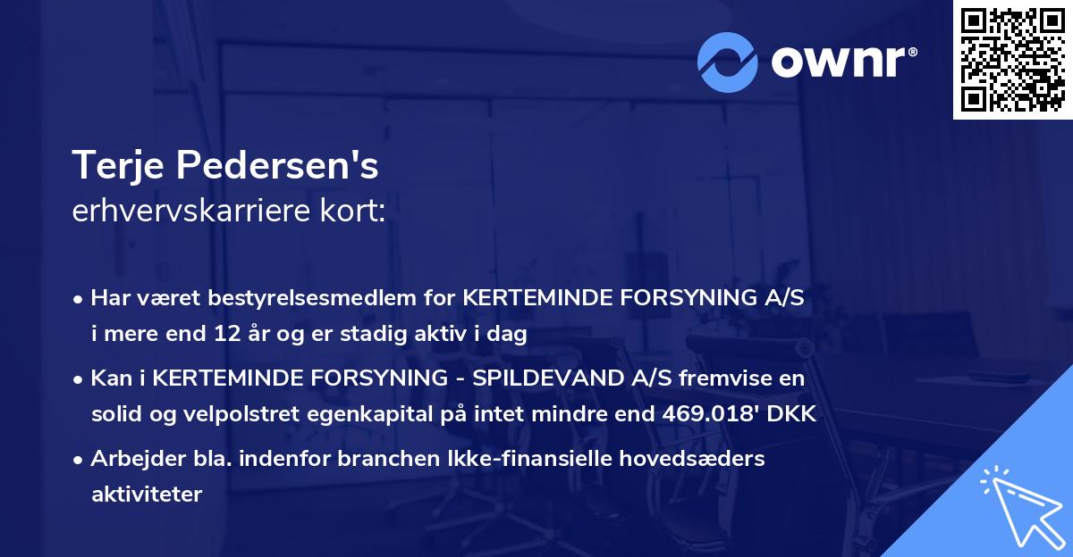 Terje Pedersen's erhvervskarriere kort