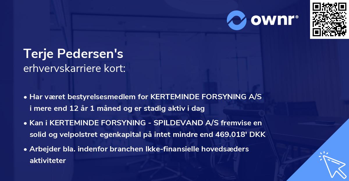 Terje Pedersen's erhvervskarriere kort
