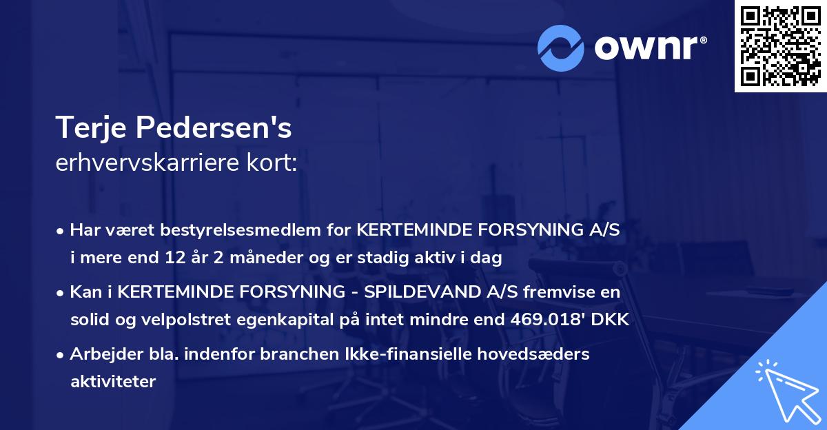 Terje Pedersen's erhvervskarriere kort