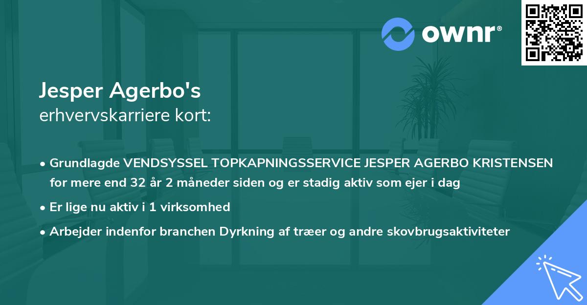 Jesper Agerbo's erhvervskarriere kort