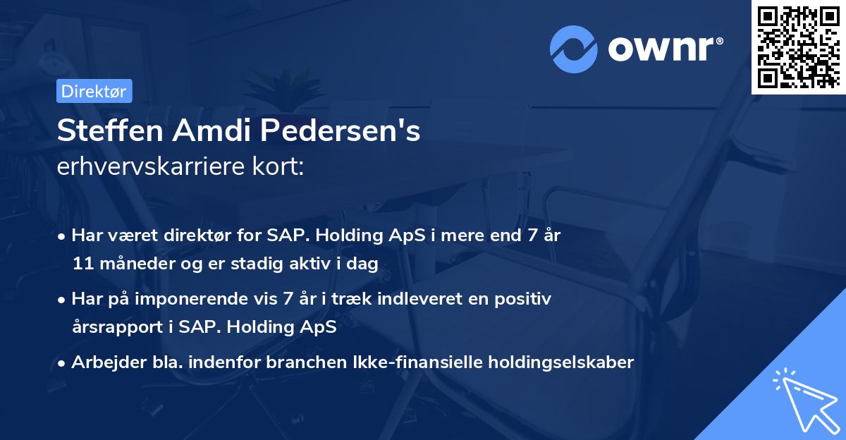Steffen Amdi Pedersen's erhvervskarriere kort