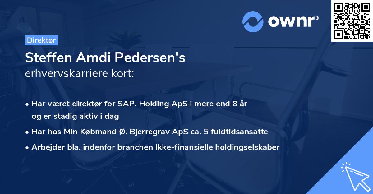 Steffen Amdi Pedersen's erhvervskarriere kort
