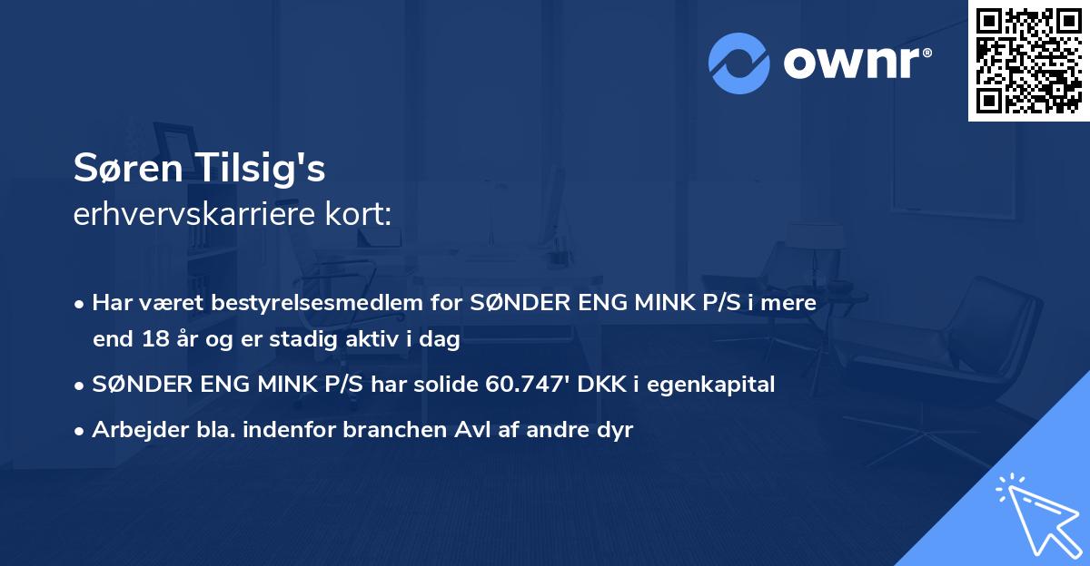 Søren Tilsig's erhvervskarriere kort