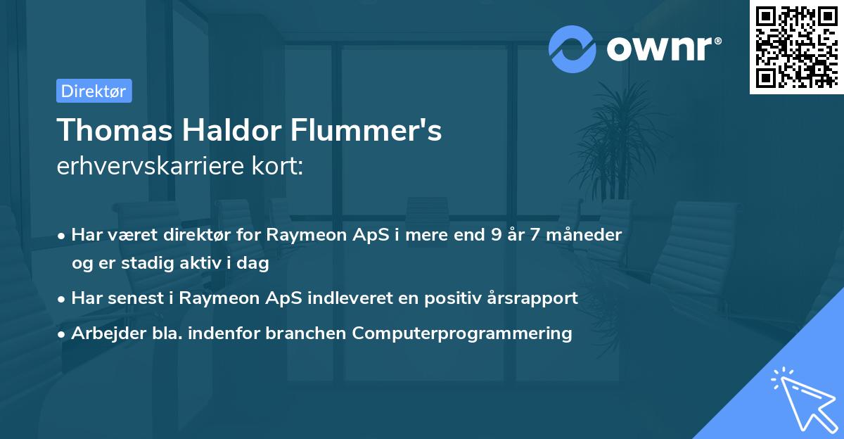 Thomas Haldor Flummer's erhvervskarriere kort