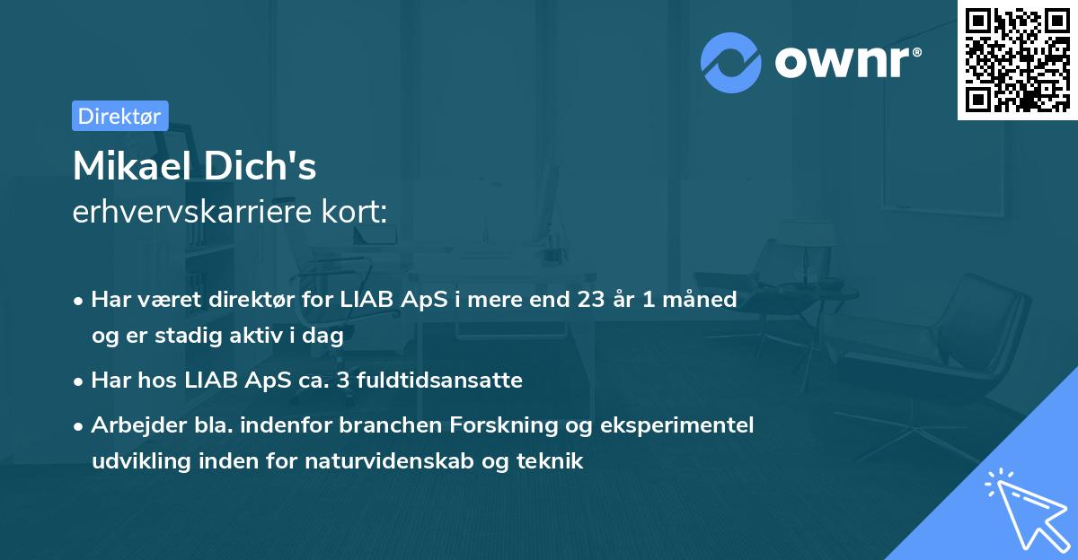 Mikael Dich's erhvervskarriere kort