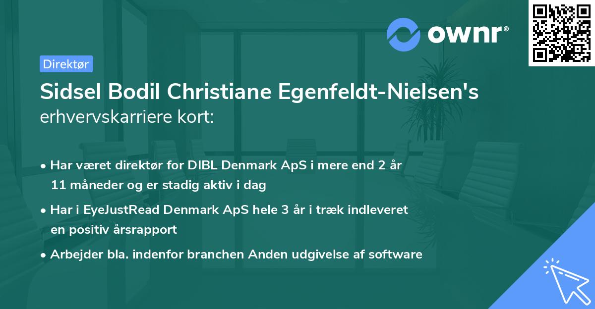 Sidsel Bodil Christiane Egenfeldt-Nielsen's erhvervskarriere kort