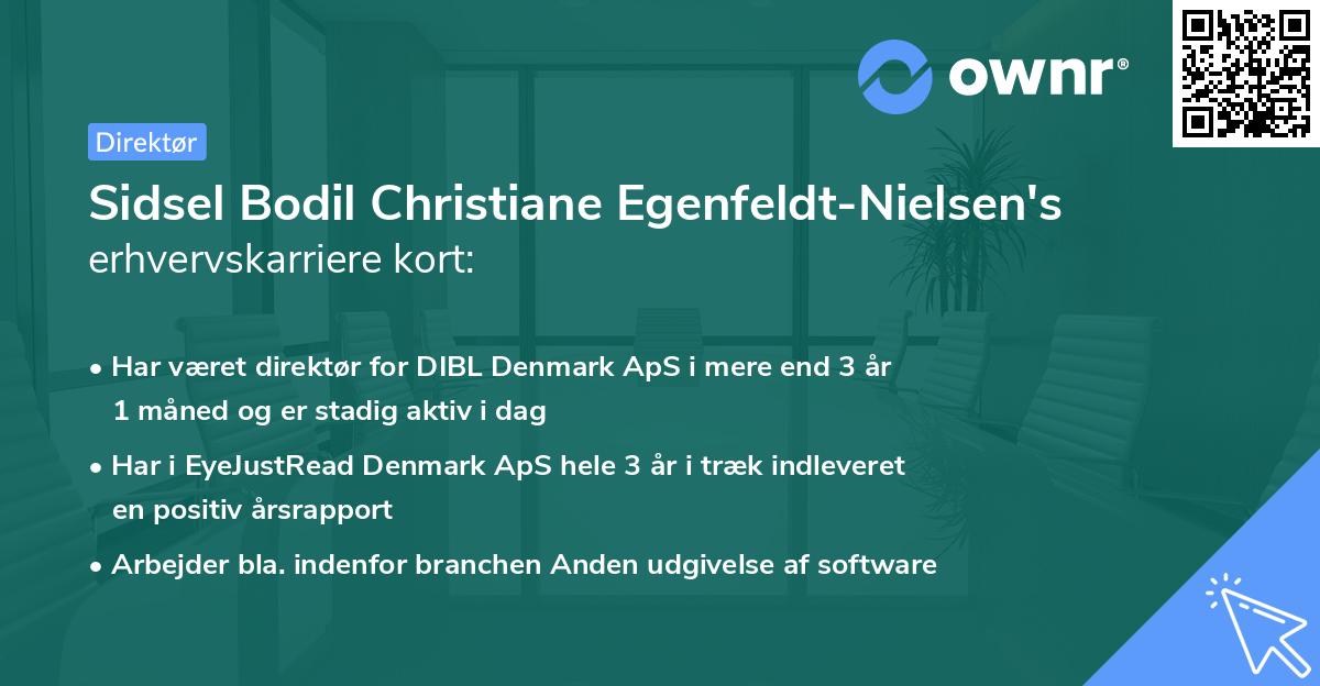Sidsel Bodil Christiane Egenfeldt-Nielsen's erhvervskarriere kort