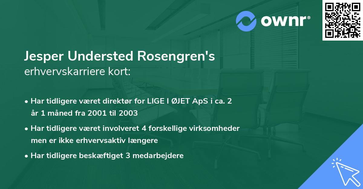 Jesper Understed Rosengren's erhvervskarriere kort