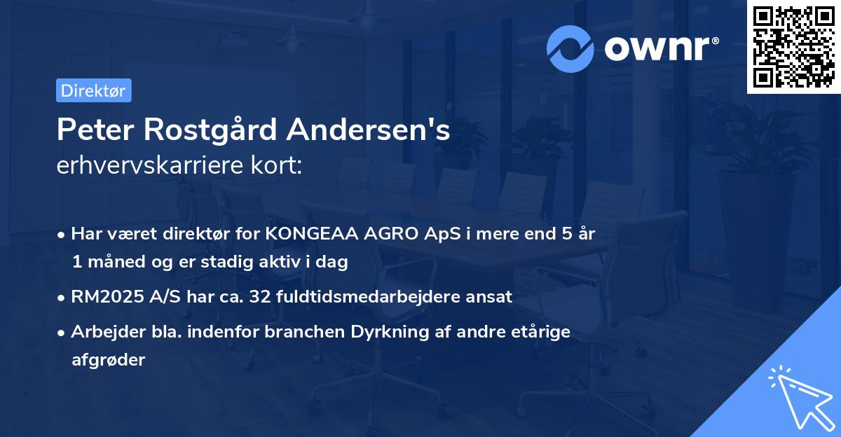 Peter Rostgård Andersen's erhvervskarriere kort