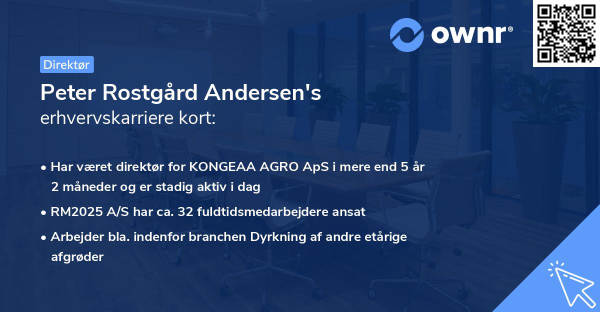 Peter Rostgård Andersen's erhvervskarriere kort
