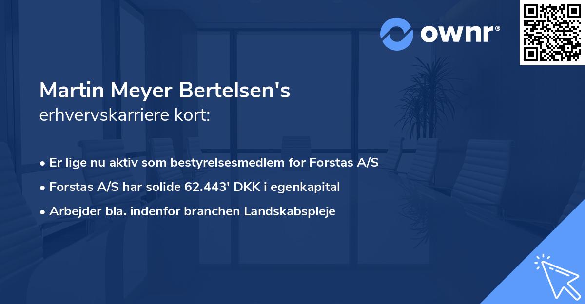 Martin Meyer Bertelsen's erhvervskarriere kort