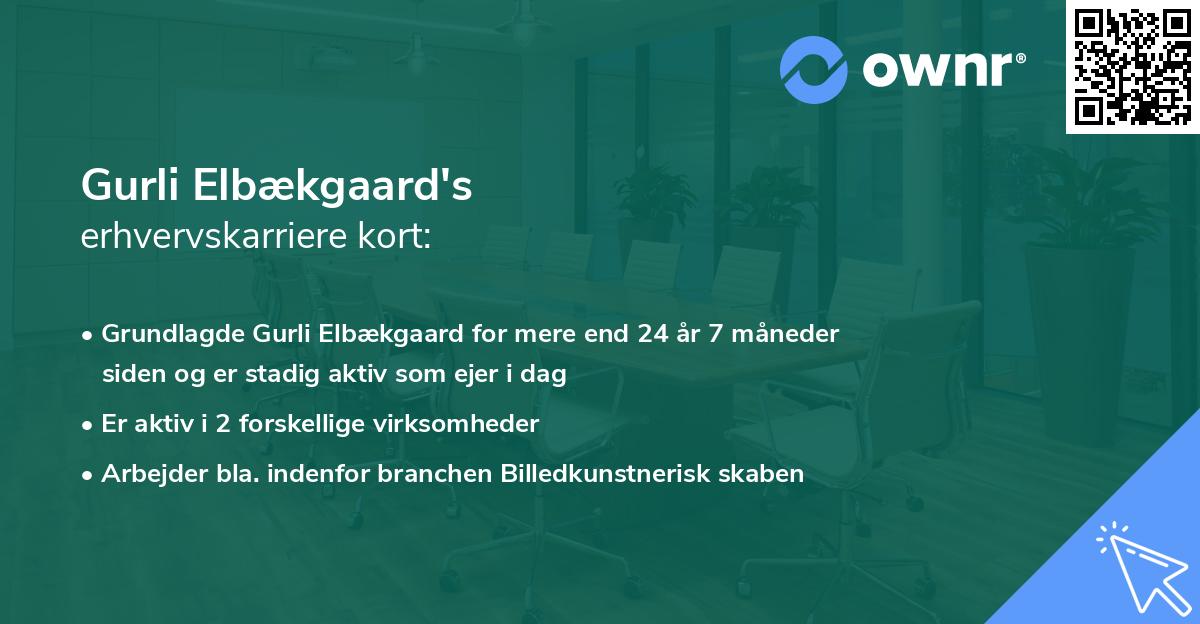 Gurli Elbækgaard's erhvervskarriere kort