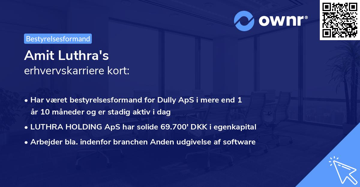 Amit Luthra's erhvervskarriere kort
