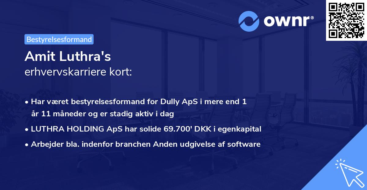 Amit Luthra's erhvervskarriere kort