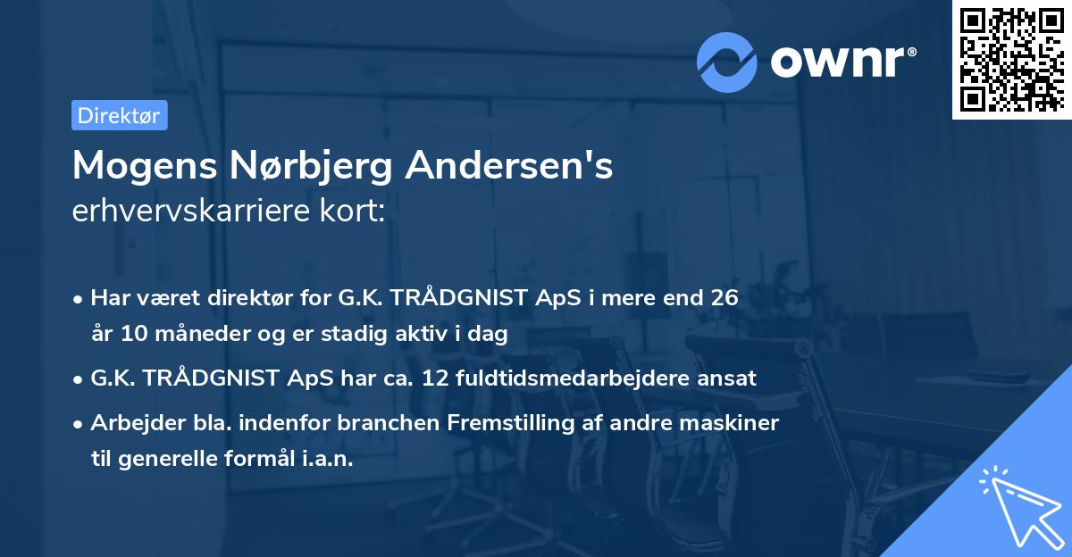 Mogens Nørbjerg Andersen's erhvervskarriere kort