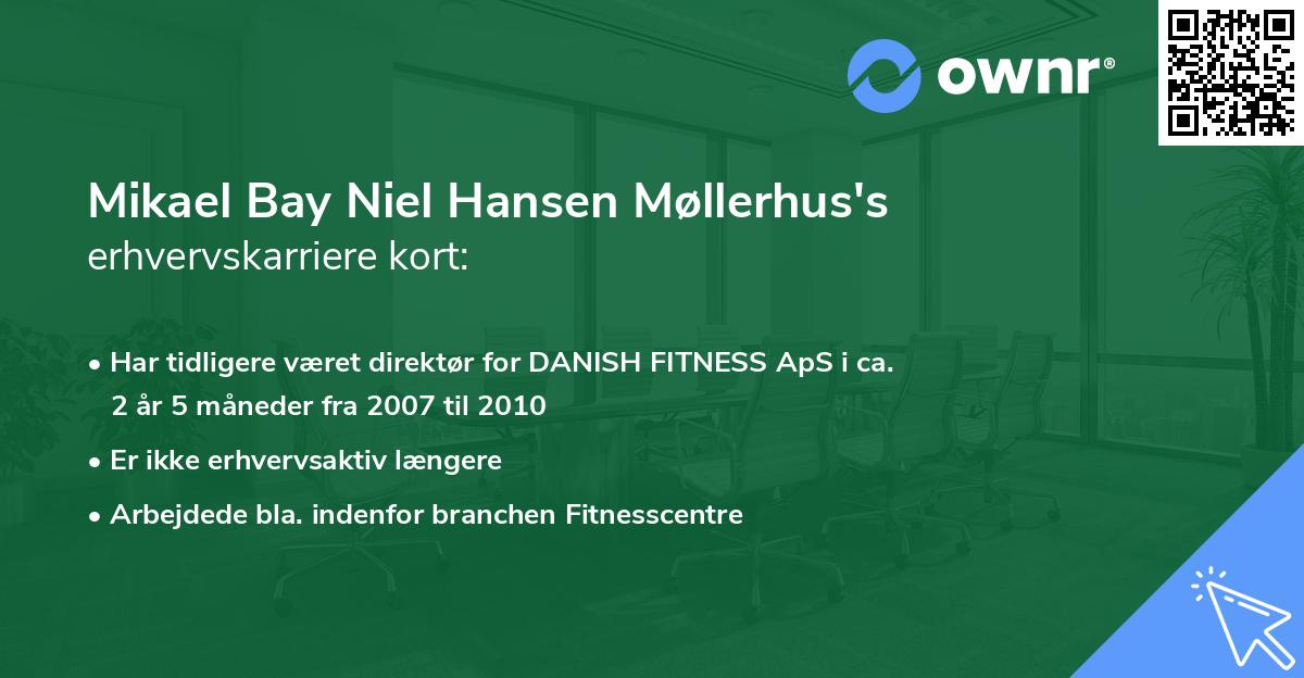 Mikael Bay Niel Hansen Møllerhus's erhvervskarriere kort