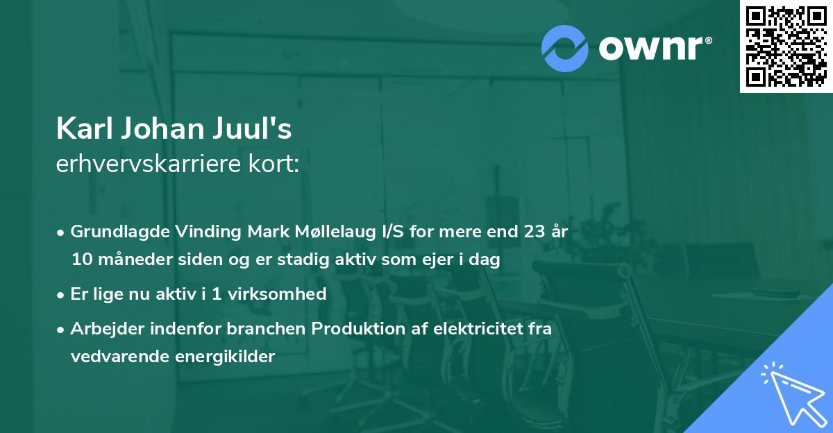 Karl Johan Juul's erhvervskarriere kort