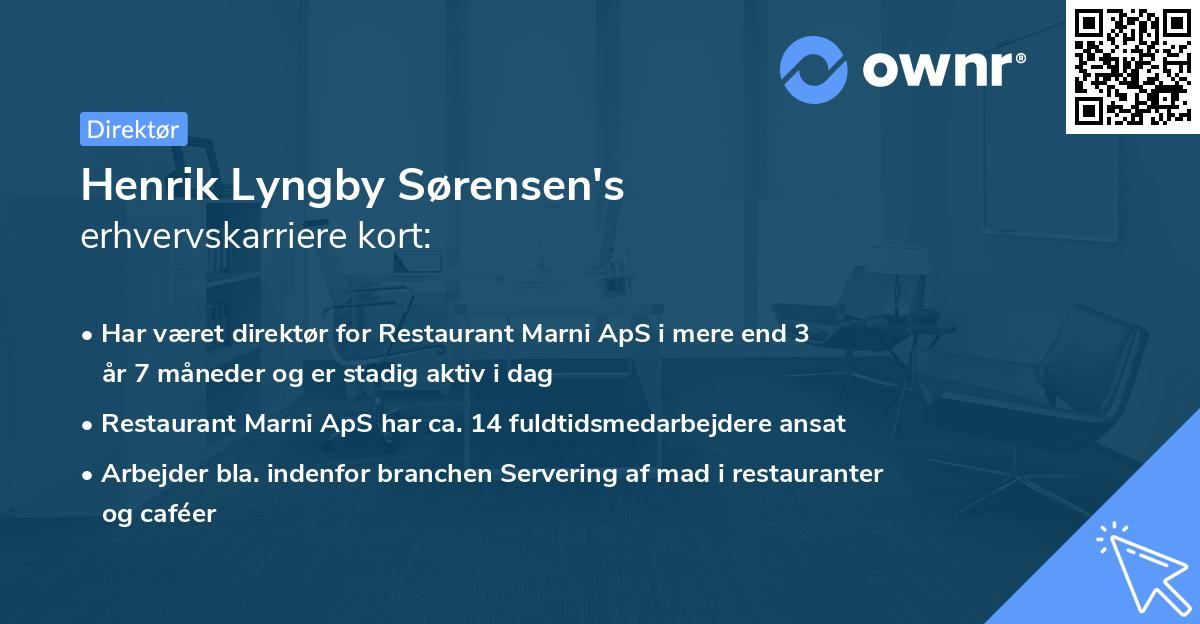 Henrik Lyngby Sørensen's erhvervskarriere kort