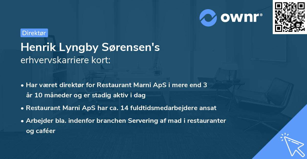 Henrik Lyngby Sørensen's erhvervskarriere kort
