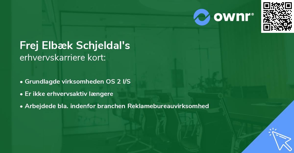 Frej Elbæk Schjeldal's erhvervskarriere kort
