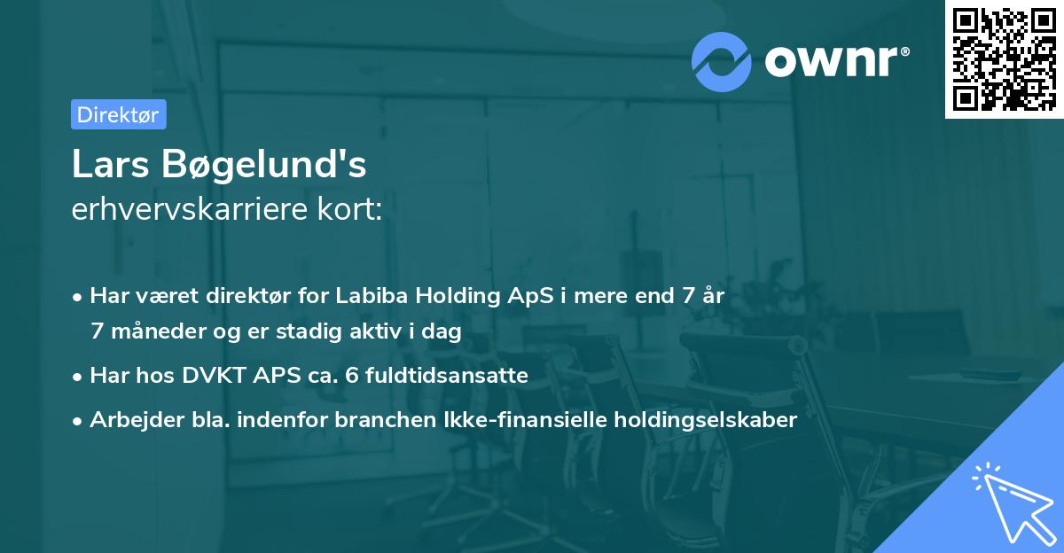Lars Bøgelund's erhvervskarriere kort