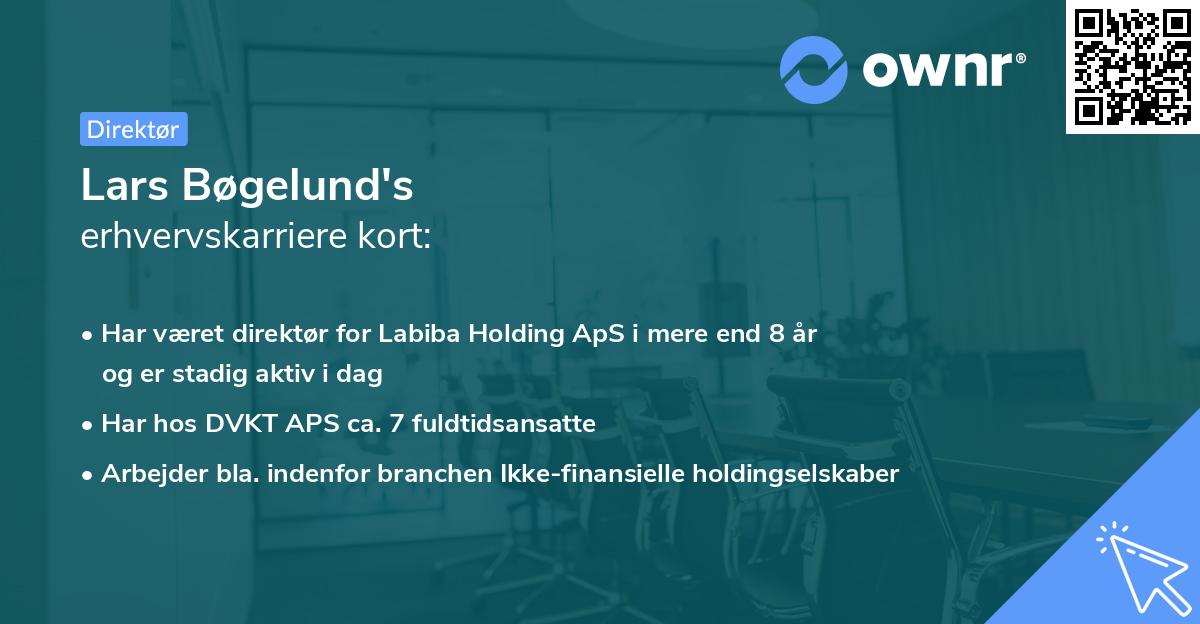Lars Bøgelund's erhvervskarriere kort