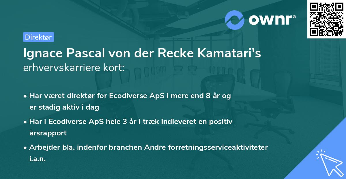 Ignace Pascal von der Recke Kamatari's erhvervskarriere kort