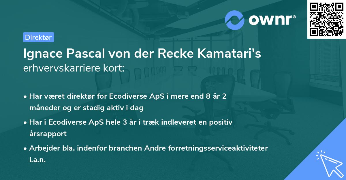 Ignace Pascal von der Recke Kamatari's erhvervskarriere kort