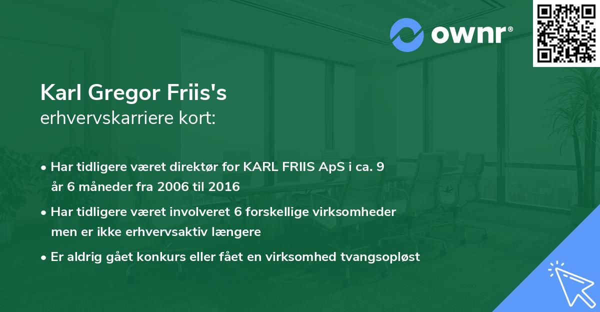 Karl Gregor Friis's erhvervskarriere kort