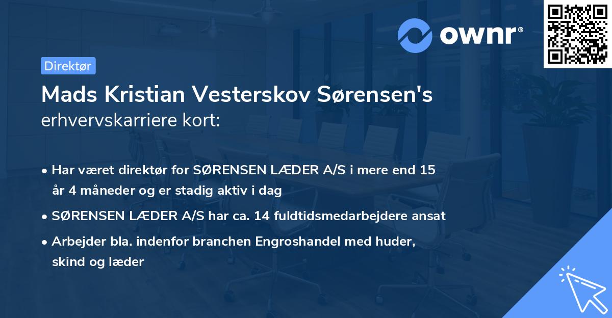 Mads Kristian Vesterskov Sørensen's erhvervskarriere kort