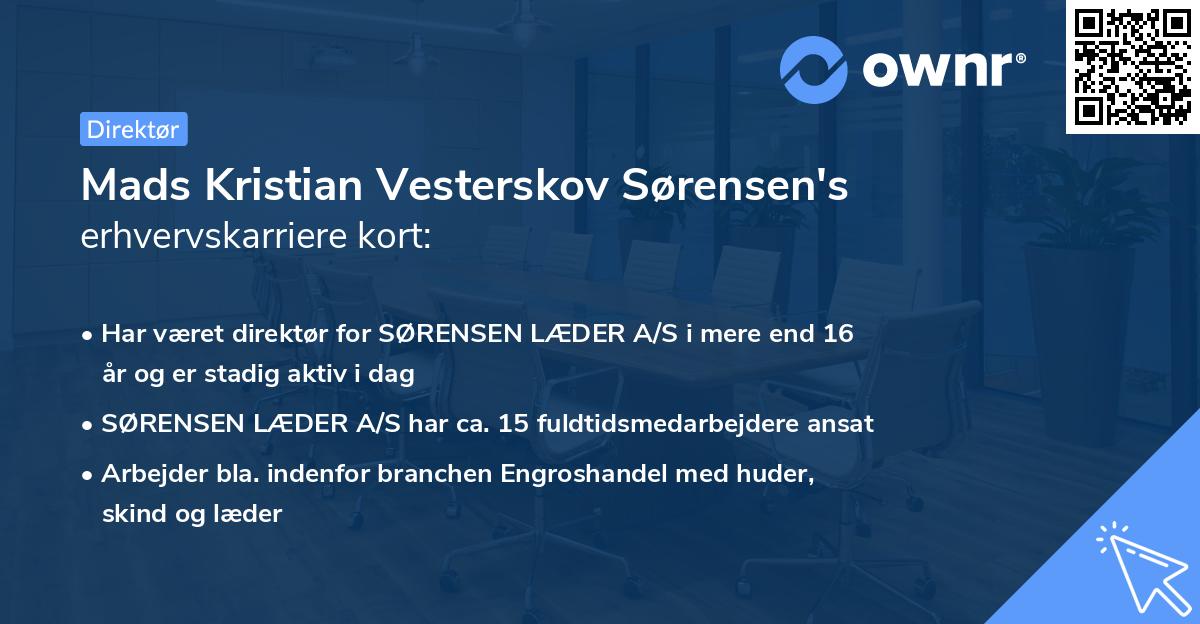 Mads Kristian Vesterskov Sørensen's erhvervskarriere kort