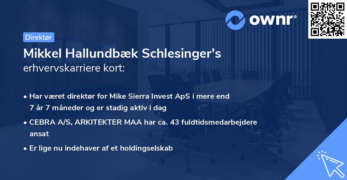 Mikkel Hallundbæk Schlesinger's erhvervskarriere kort