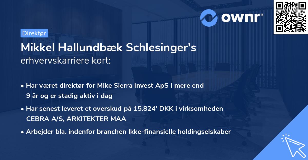 Mikkel Hallundbæk Schlesinger's erhvervskarriere kort