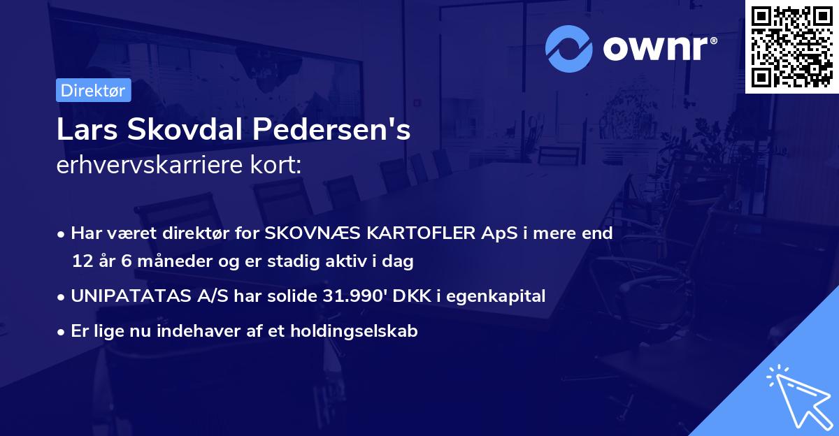 Lars Skovdal Pedersen's erhvervskarriere kort