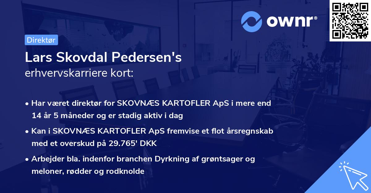 Lars Skovdal Pedersen's erhvervskarriere kort