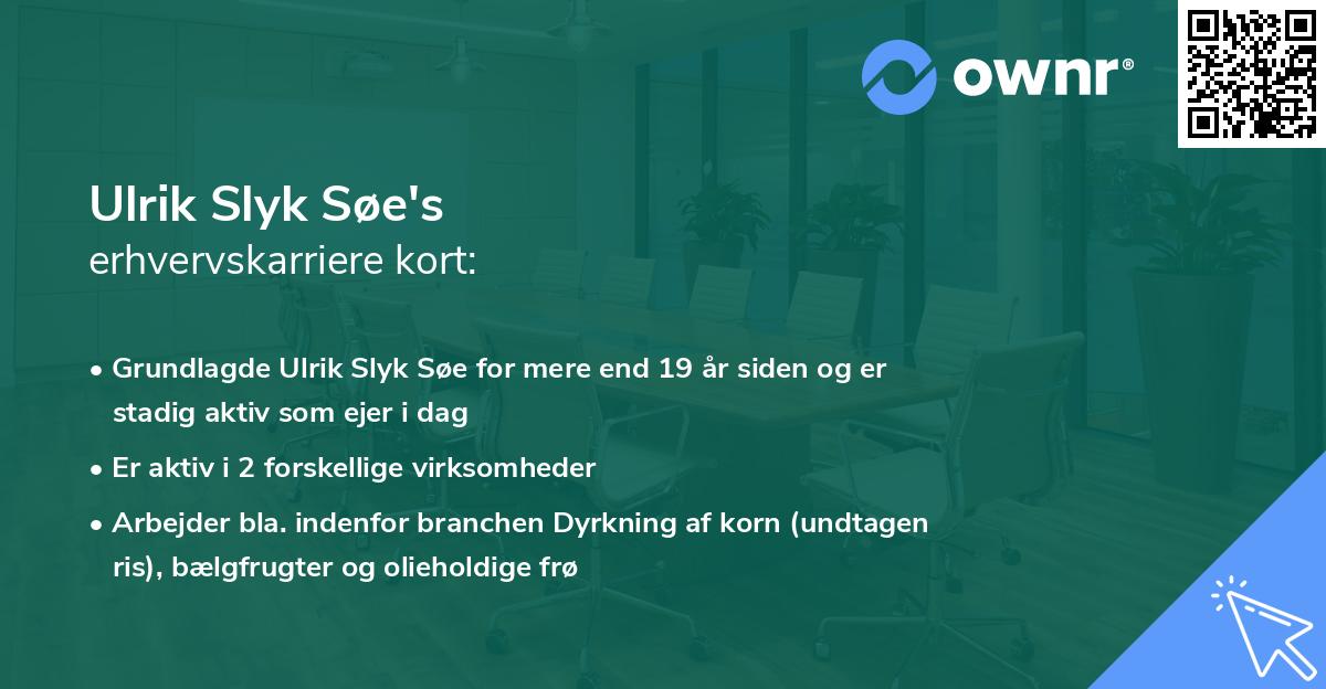 Ulrik Slyk Søe's erhvervskarriere kort