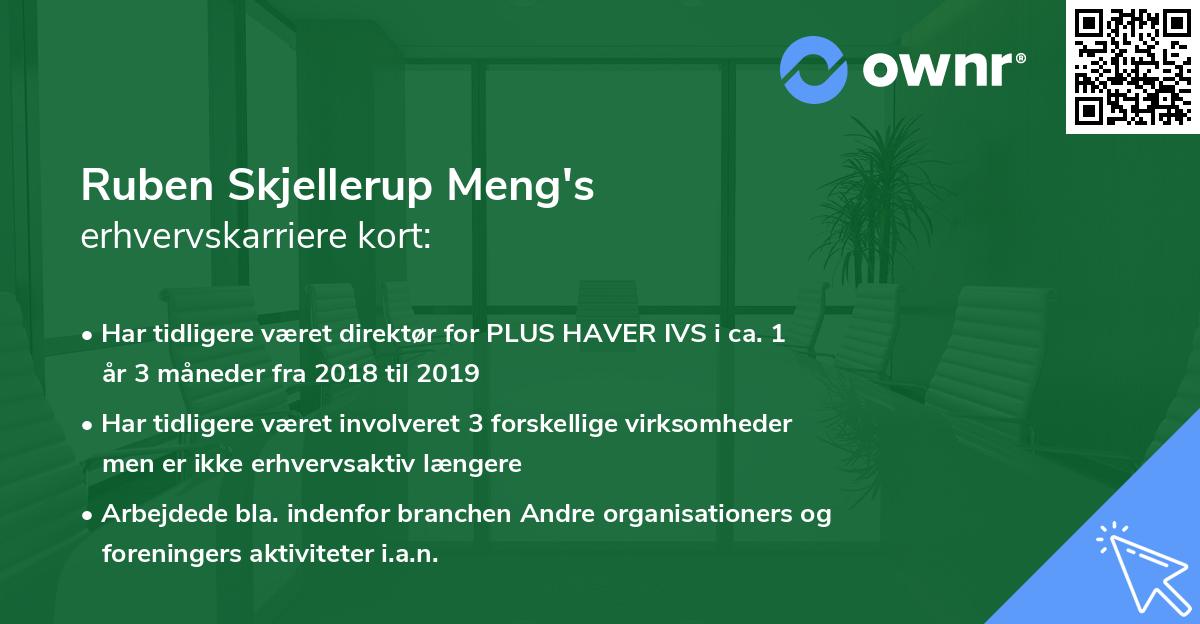 Ruben Skjellerup Meng's erhvervskarriere kort