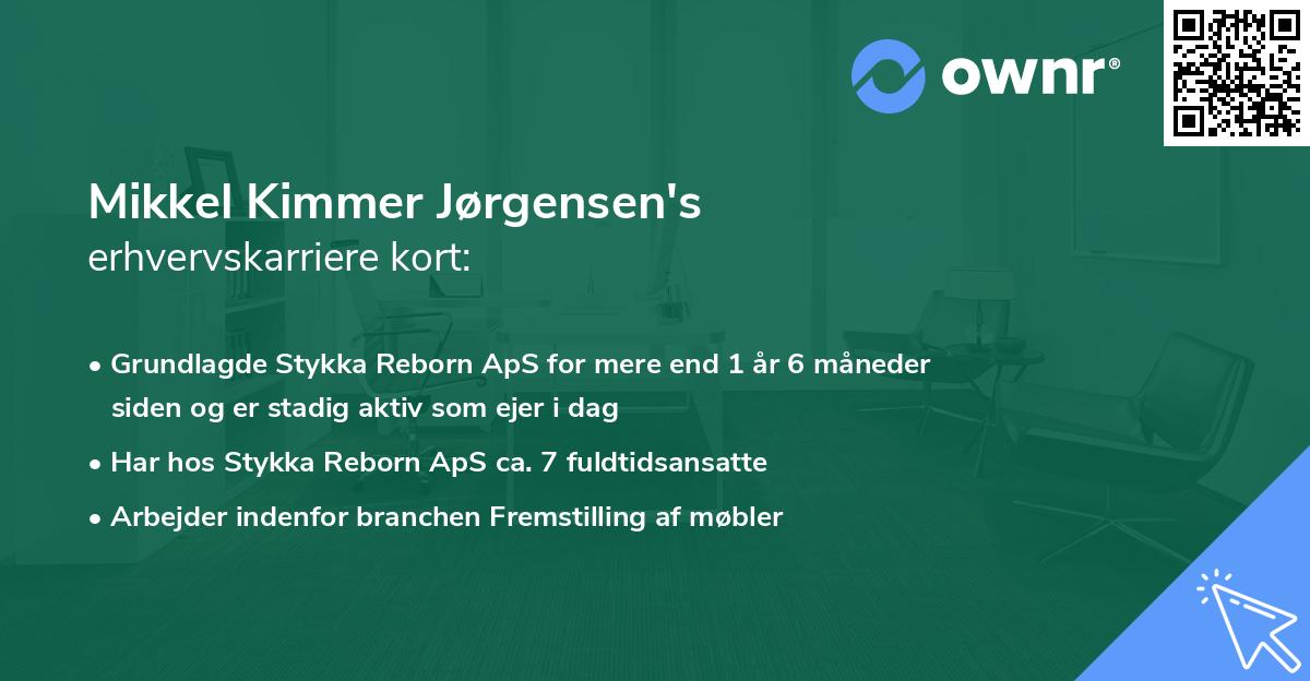 Mikkel Kimmer Jørgensen's erhvervskarriere kort