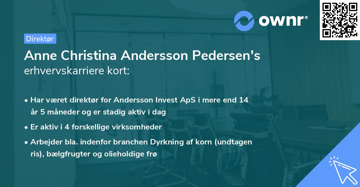Anne Christina Andersson Pedersen's erhvervskarriere kort