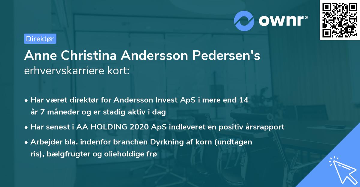 Anne Christina Andersson Pedersen's erhvervskarriere kort