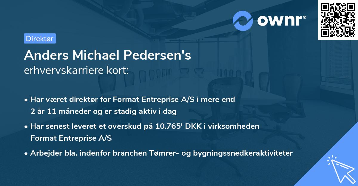 Anders Michael Pedersen's erhvervskarriere kort