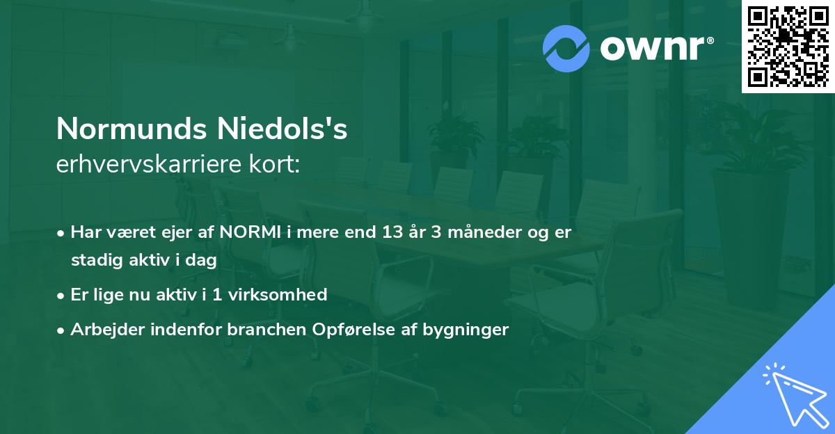 Normunds Niedols's erhvervskarriere kort