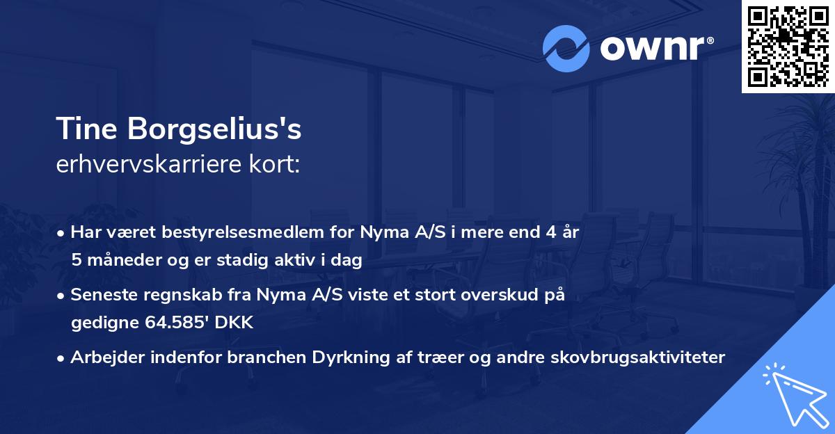 Tine Borgselius's erhvervskarriere kort