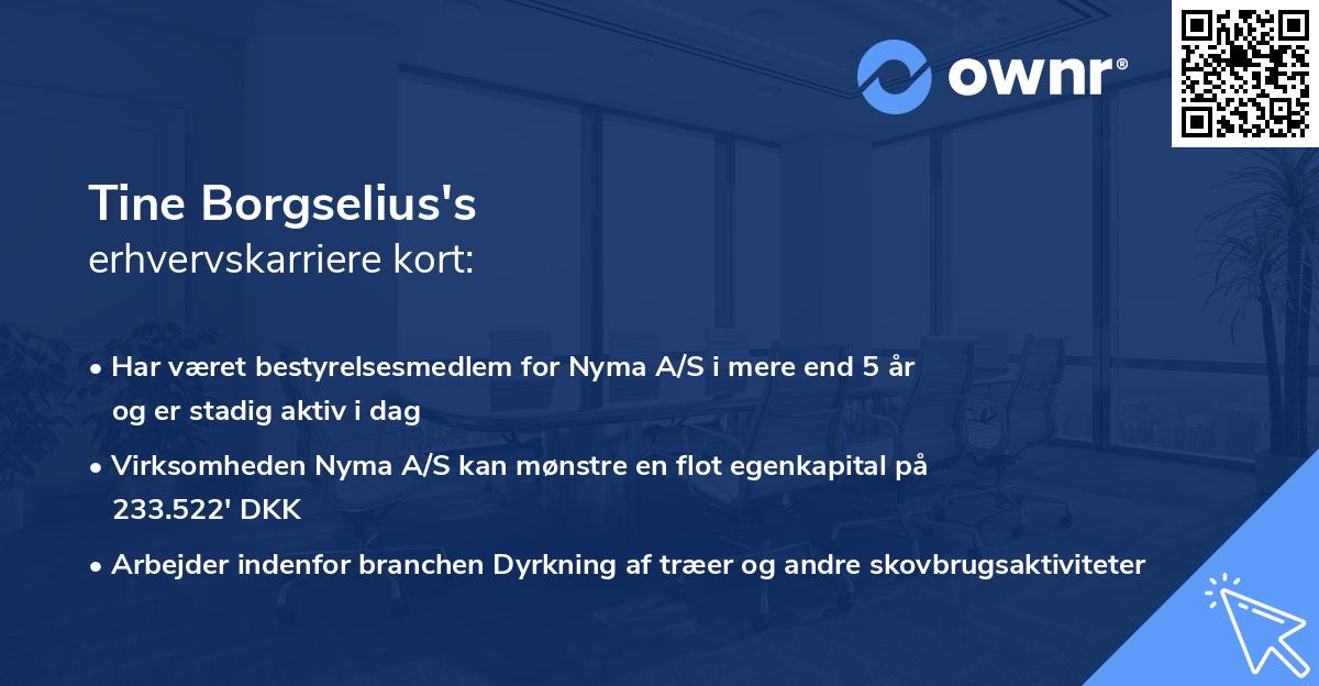 Tine Borgselius's erhvervskarriere kort