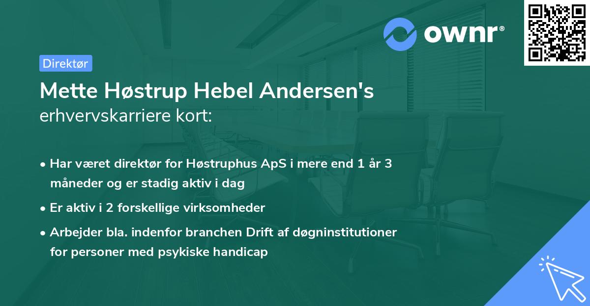 Mette Høstrup Hebel Andersen's erhvervskarriere kort