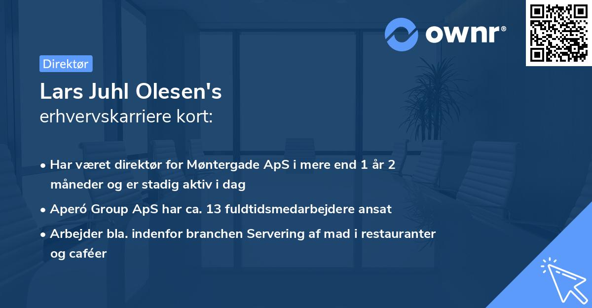 Lars Juhl Olesen's erhvervskarriere kort