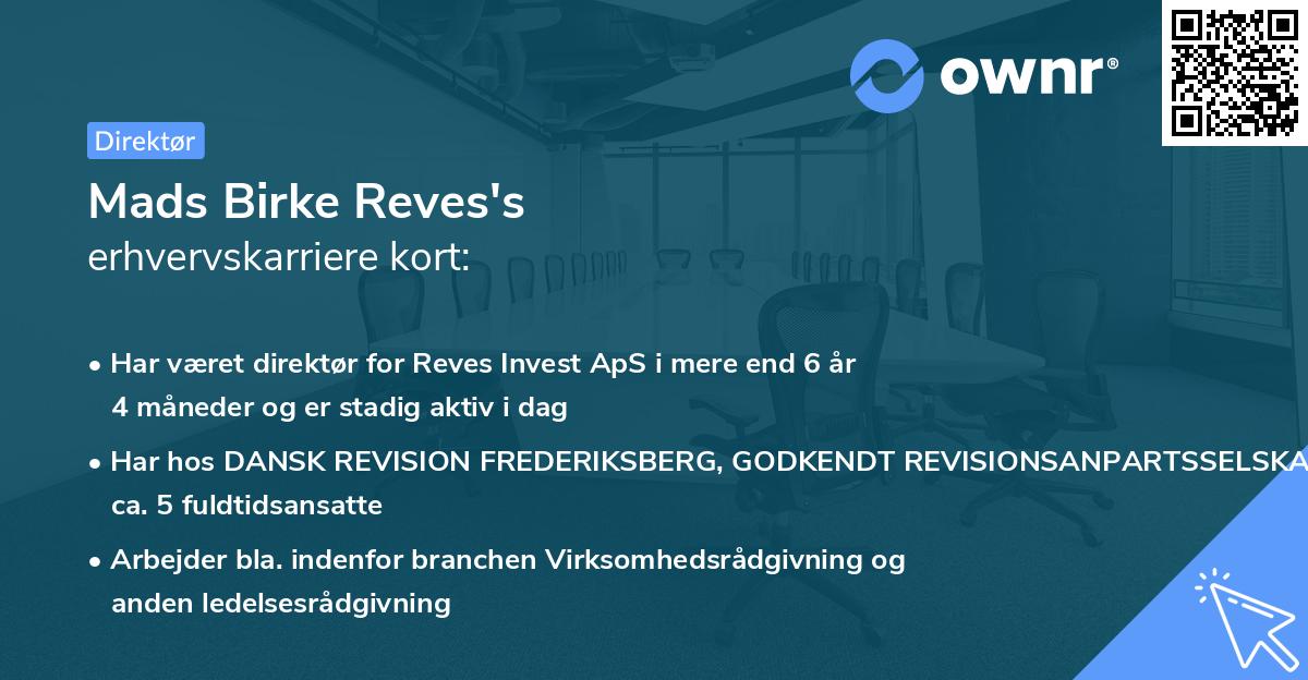 Mads Birke Reves's erhvervskarriere kort
