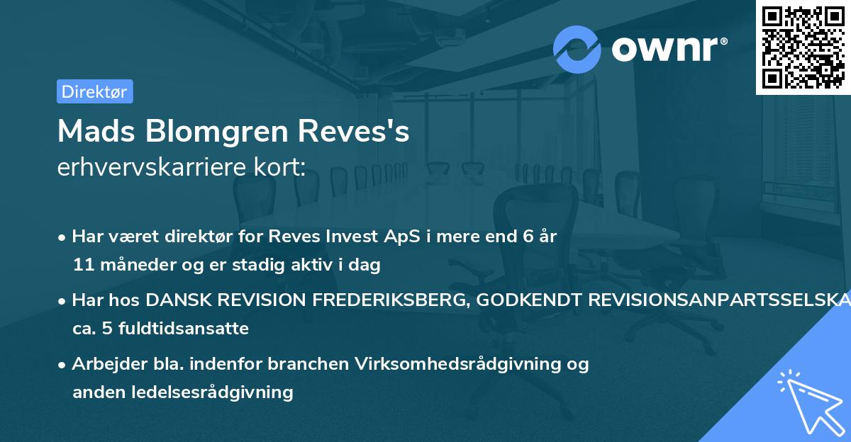 Mads Blomgren Reves's erhvervskarriere kort